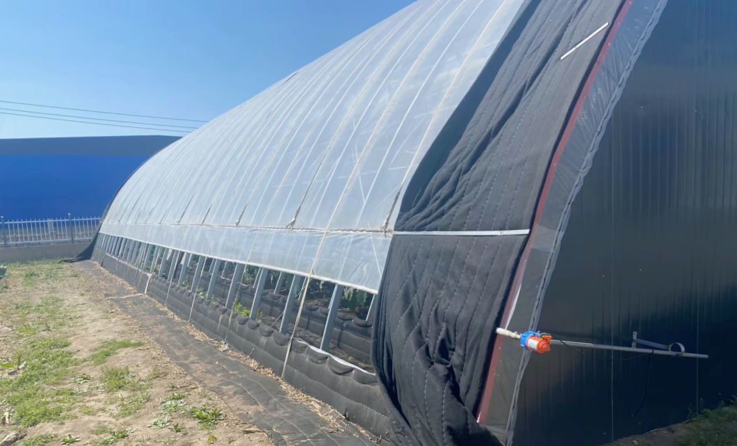 Aquaponics Sunlight Greenhouse