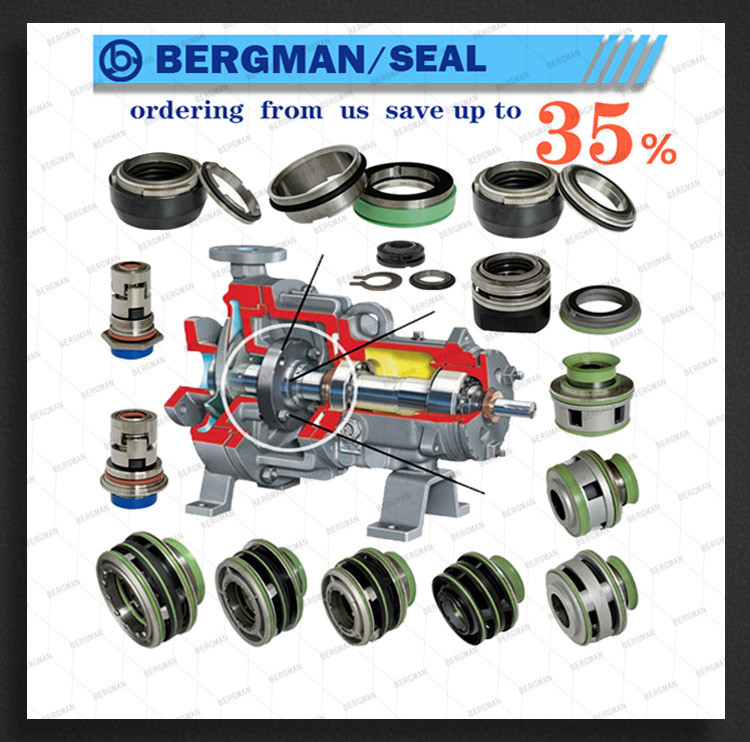 BERGMAN Replace Flygt Pump Seal FRL-60mm 2400 3200 PUMP Lower Sealing Mechanical Seal