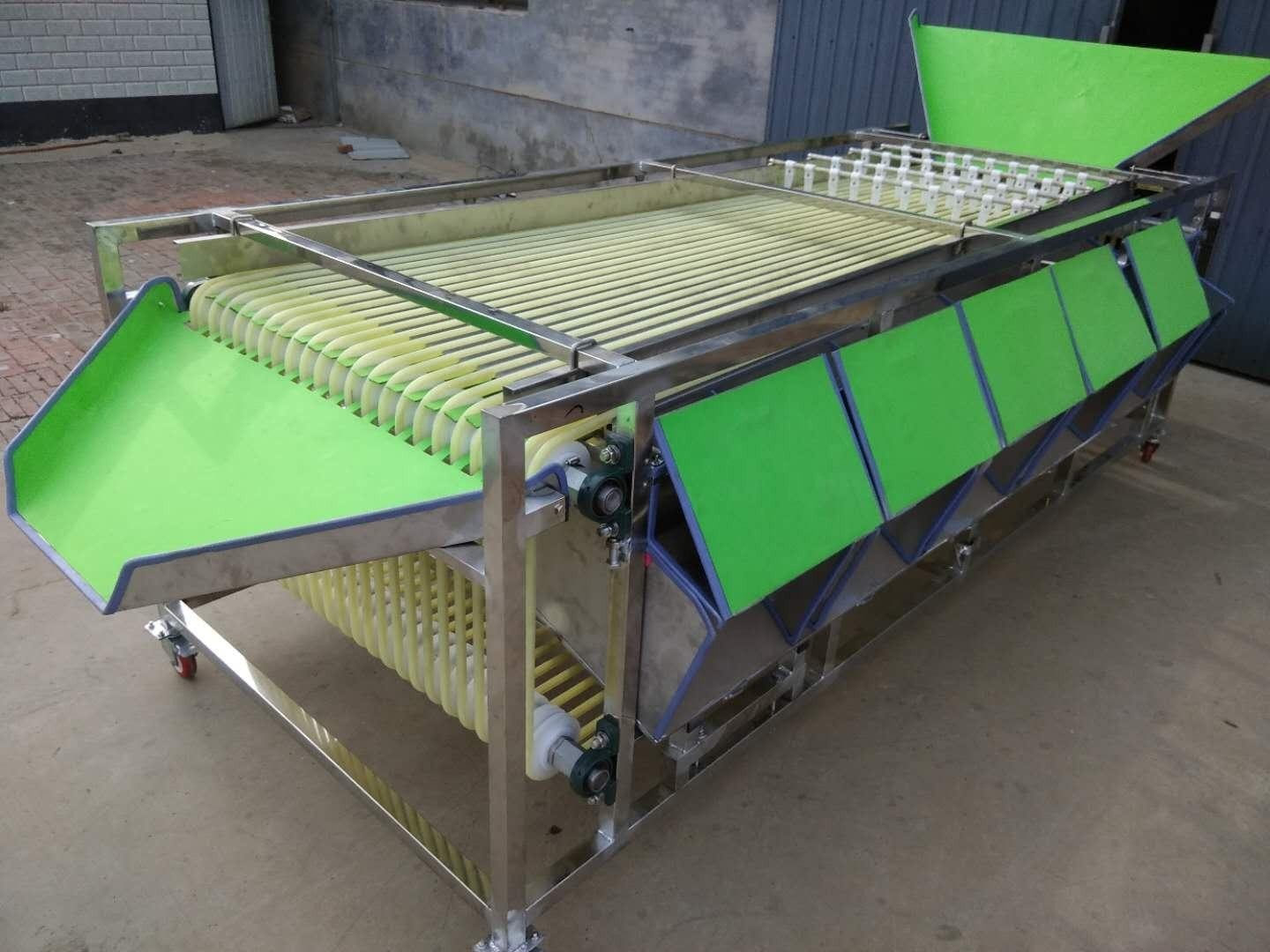 Macadamia Nut Roasting Machine Stainless Steel Fruit Sorting Grading Machine