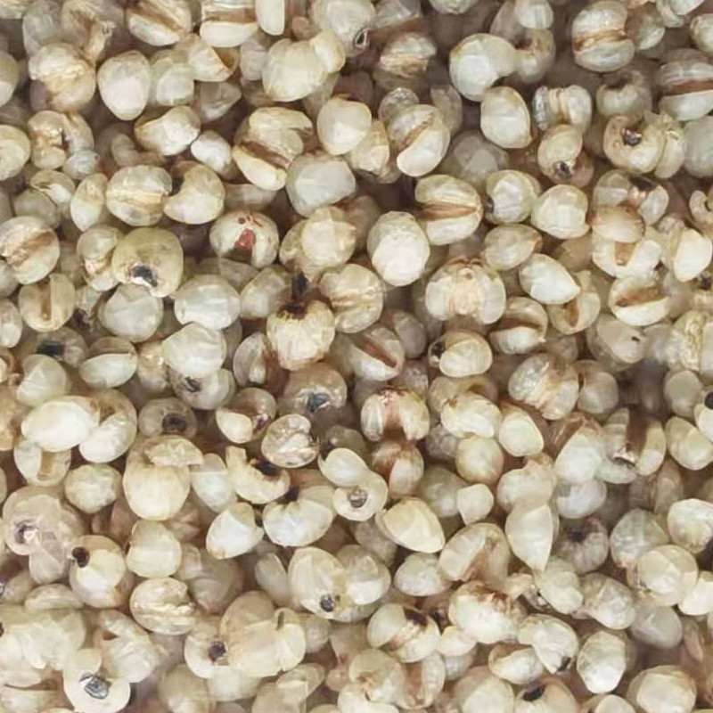 100% Pure Natural Steamed Job'S Tear Roasted For Drink