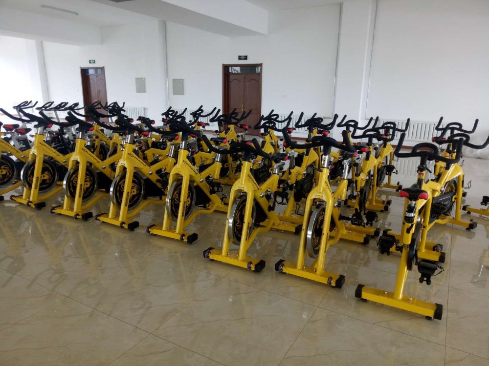 Commercial Indoor Spinning Bike Body Building Exercise Fitness Equipment