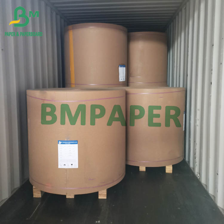 White Cup Paper Rolls 230g 250g 270g  + 15g 20g PE Laminated One side 