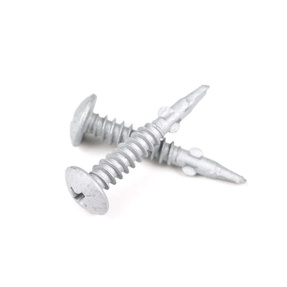 Standard Custom Screw Stainless Steel Phillips Truss Head Self Drilling Screw Tapping Screw