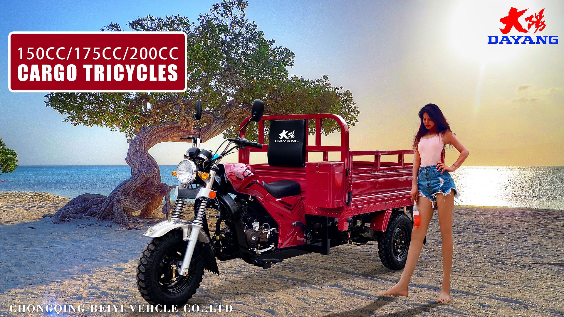 DAYANG Prince 150CC/175CC/200CC Cargo Tricycle for Africa and Southeast Asia Market