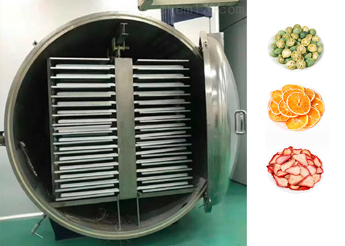 Animal Vacuum Lyophilizer Freeze Dryer PLC Control