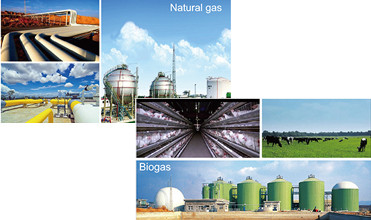 Silent Natural Gas LPG Generator as Home Standby Generator