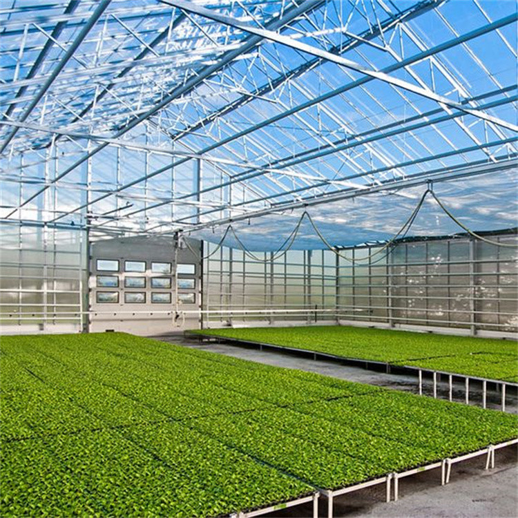 Customized Venlo Type Greenhouse Multispan Tunnels Hot Dip Galvanized Steel