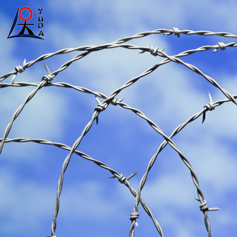 Double Twisted Hot Dipped Galvanized Steel Barbed Iron Wire Fence For Farm