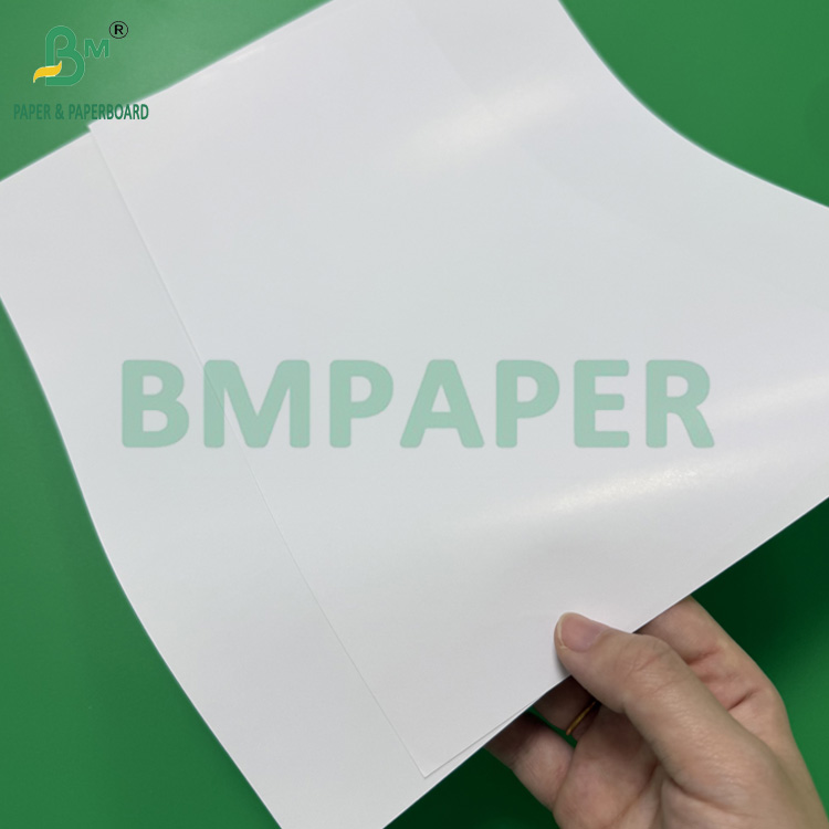 120g C1S Coated One Side Gloss Paper 68cm 110cm Roll Width 