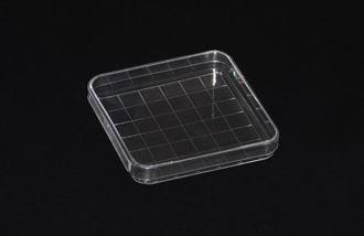 Clear Plastic 100X15mm Sterile Petri Dishes Disposable Square Shape for
