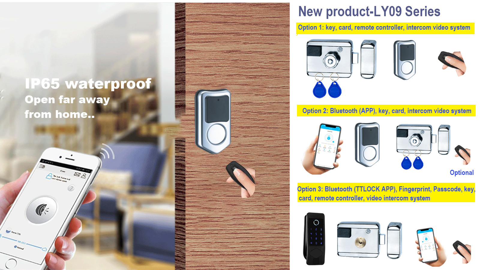 Outdoor TTlock Control Biometric Rim Smart WIFI Door Lock