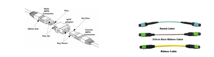 48F(4x12) MTP SM Fiber Optic Turnk Cable