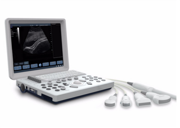 BIO Portable Laptop Ultrasound Machine 3D Ultrasound Scanner 256 Level Gray Scale Image
