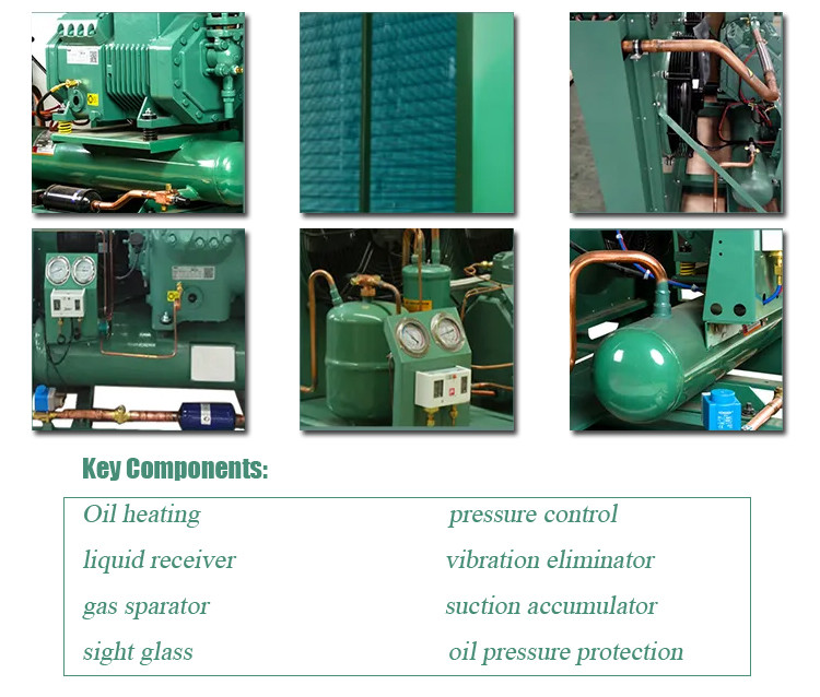 230V 380V Air Cooled Condensing Unit Compressor Cooling Unit