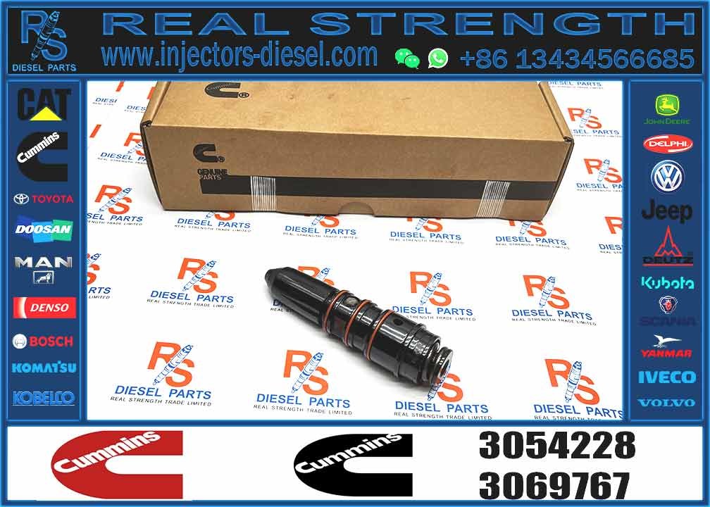 Fuel Injector 3054228