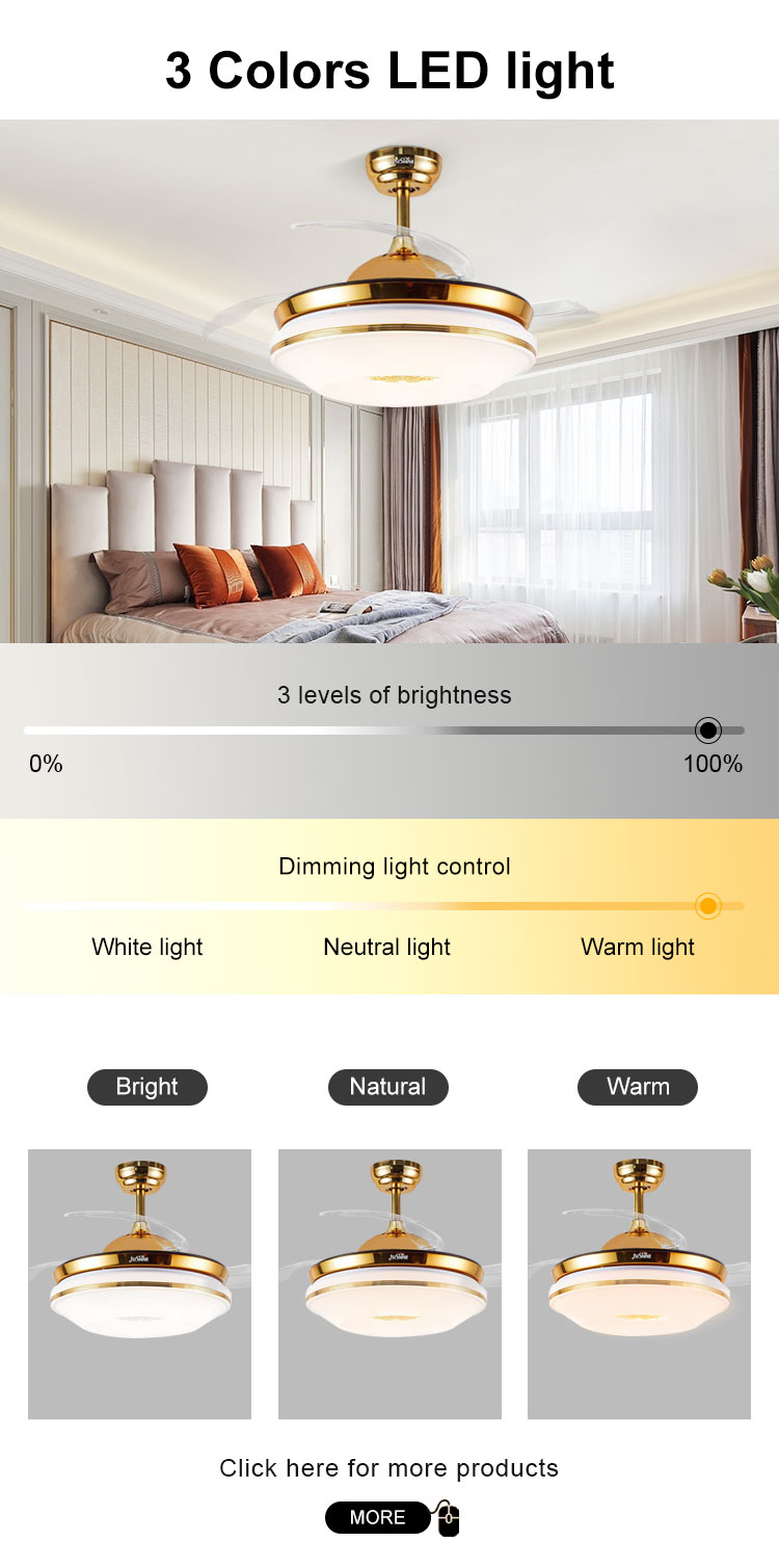 Hidden Blades 42inch 60W LED Ceiling Fan for Lower Noise and Elegant Home Decoration