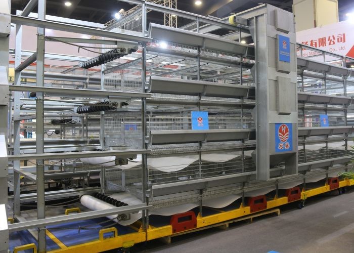 High Efficiency Layer Hen Cages Battery Cage System For Layers ISO9001 Approved