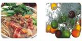 Water Ionizer