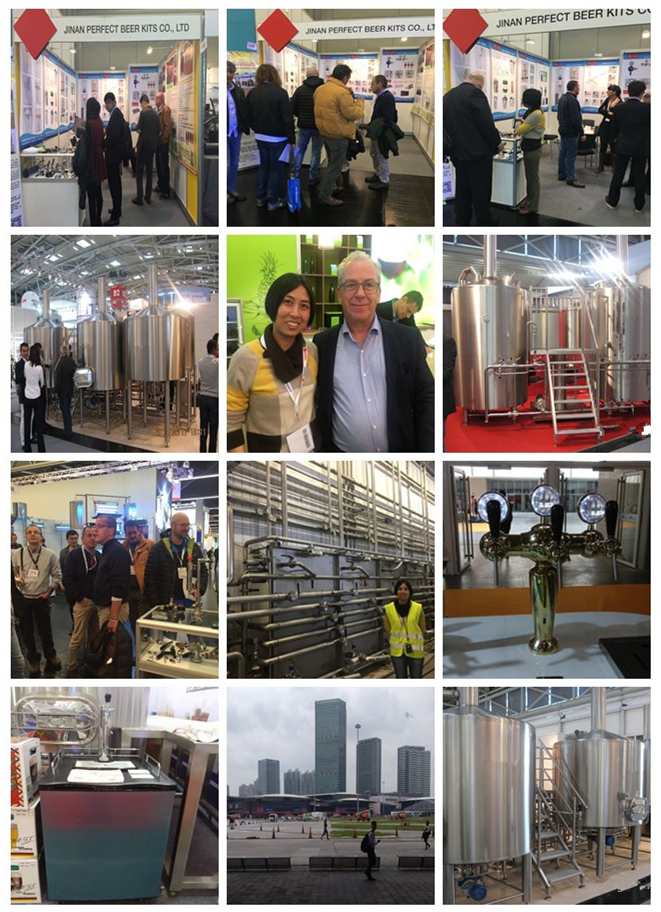 Processing Fermenting Equipment with Semi-Automatic Control System GSTA 100L Whole Set