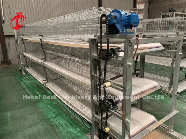 Automatic Manure Scraper And Belt Type Designed For Chicken Farm Sandy