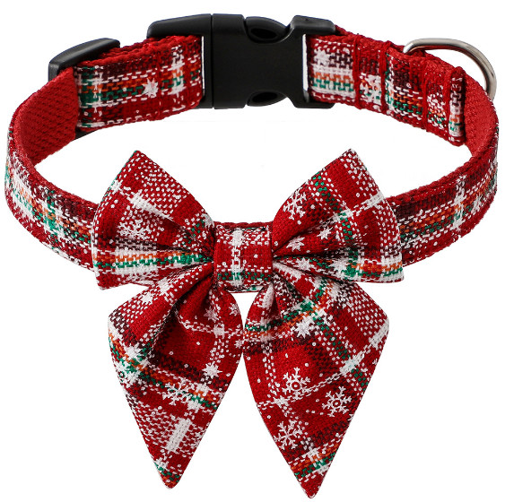 kitten christmas collar