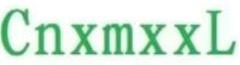 China Xiamen Xiexinlong Technology  Co.,Ltd logo