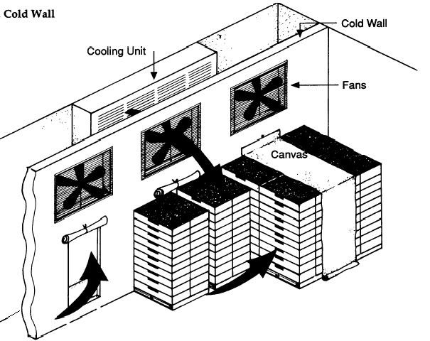 15kw Forced Air Cooler 18 Tons Capacity Precool Vegetables And Fruits