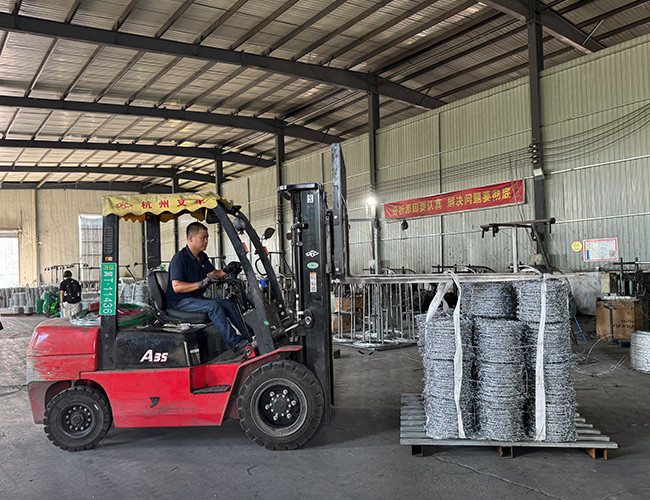 Hot-dipped Galvanized Security Barbed Wire High-Diameter Wire for Secure Boundaries