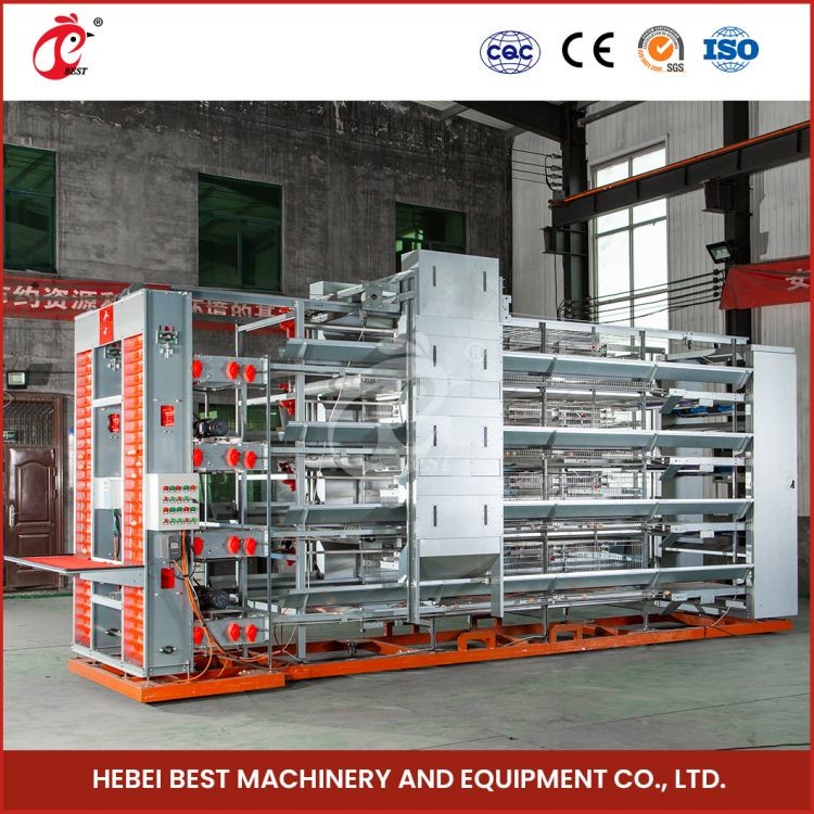 Galvanized Poultry Farming Cage System With 2.8-3.5mm Cage Wire Diameter Mia