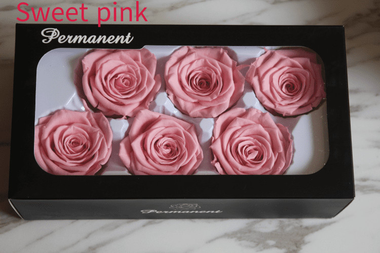 beautiful preserved rose flower A grade stabilized rose preserved long lasting eternal rose 4-5cm