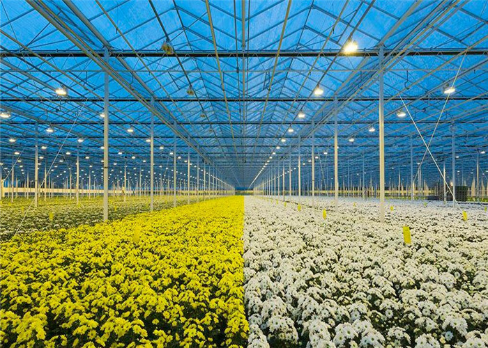 Fish Farming Low Cost Greenhouse , Modular Glass Greenhouse Long Lifetime