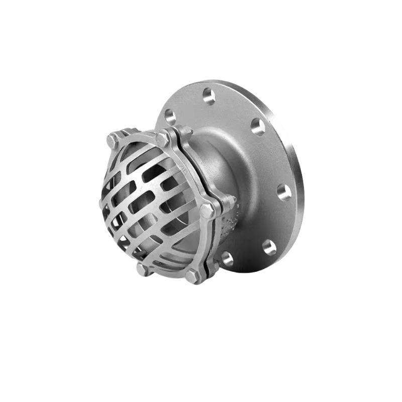 Flanged Stainless Steel Foot Valve Bottom Valve
