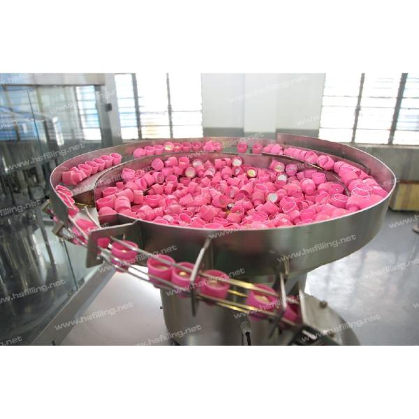 SS304 Automatic Capping Machine