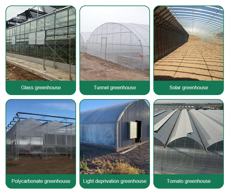 American Tomato Agriculture Polycarbonate Greenhouse Equipped with Hydroponic Systems