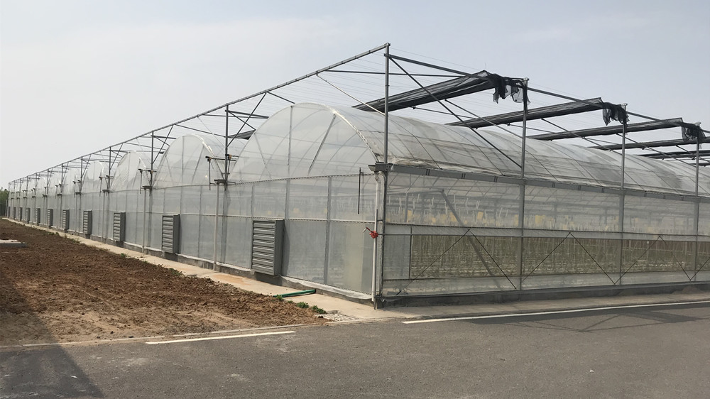 Pressure-Resistant Glass House for Large-Scale Growth of Vegetable Fruits and Flowers