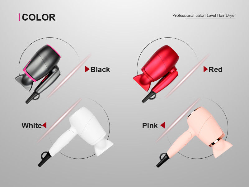 Dual Voltage 110-240V Hair Blow Dryer Travel With Folding Handle