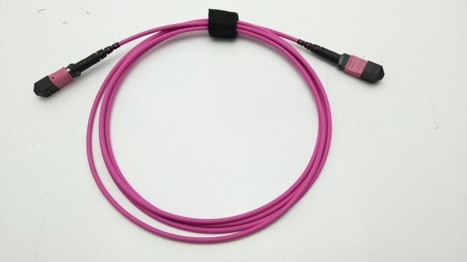 MPO MPT Multi Mode Fiber Optic Patch Cord 12 Core