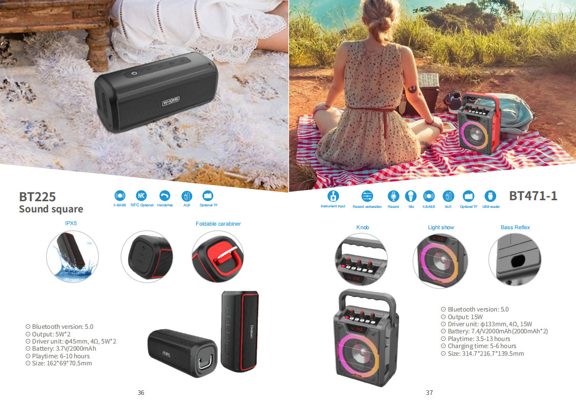 60W Waterproof IPX5 Bluetooth Wireless Speaker with TWS, DSP, TF Card, Equalizer & Subwoofer
