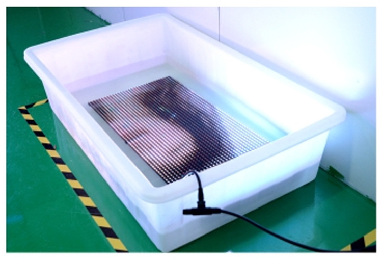 Transparent Mesh Glass Wall Panel P16.67 DIP Outdoor Led Curtain