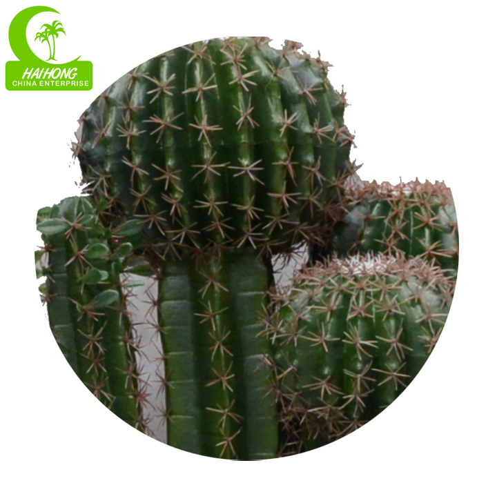 artificial cactus