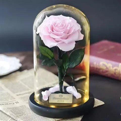 Preserved Rose Flower Box Never Withered Flowers Home Decoration