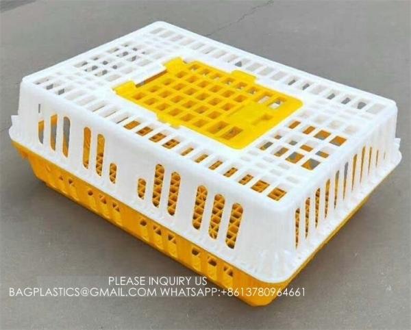 Chicken Transport Cage Adult Birds Cage Cage Poultry Transport Cage Box