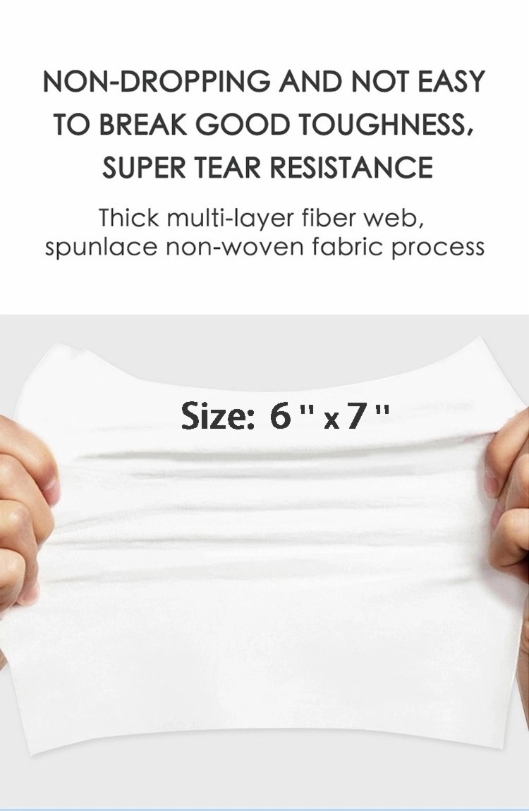 Anti-Bacterial Disposable Sanitizing Cleaning 75% Ethanol Disinfecting Wet Wipes