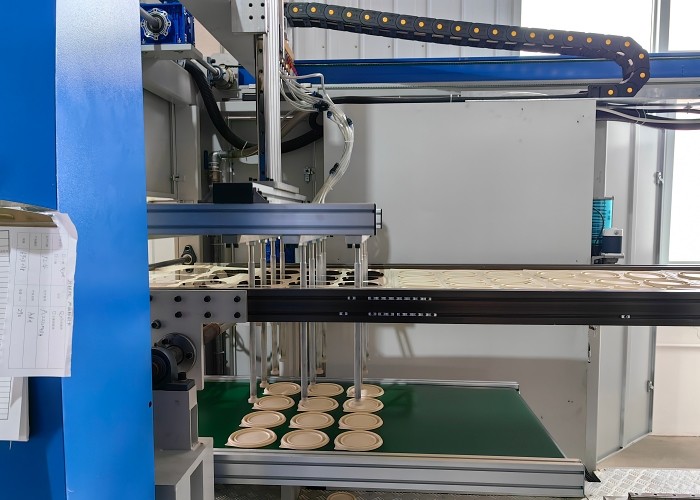 Four Station Blister Thermoforming Machinery Automatic