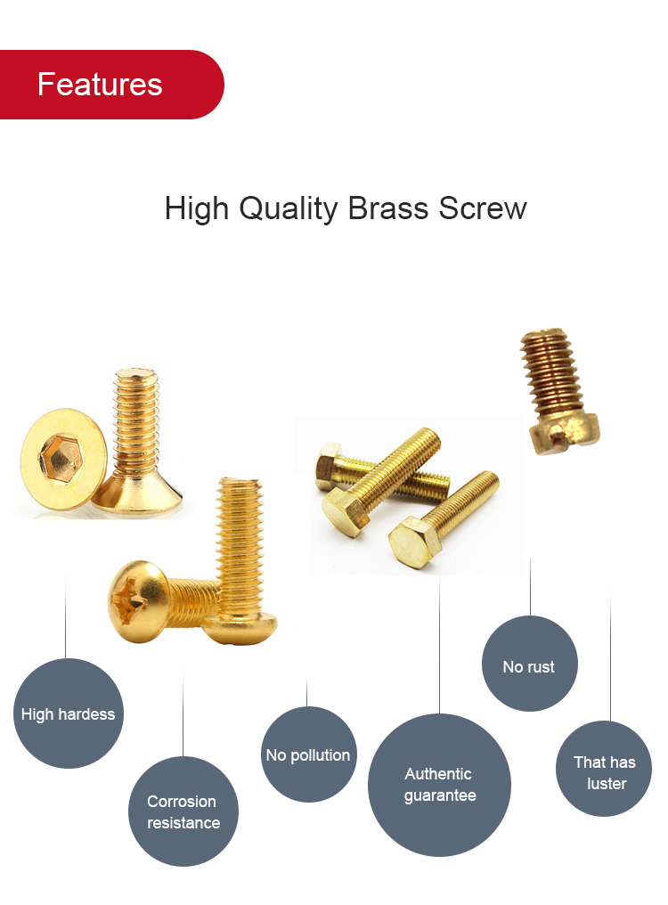 Metric Measurement System Flat Hex Pan Head Brass Machine Screw with Black Oxide Finish
