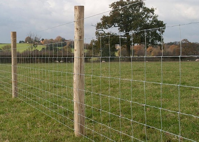 60g/M2 Zinc Coated 0.9x200m Wire Cattle Fencing With Hinge Joint