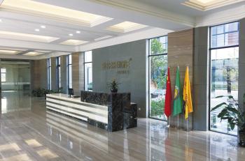 Goodseaa Aviation Technology(Shanghai) Co.,Ltd.