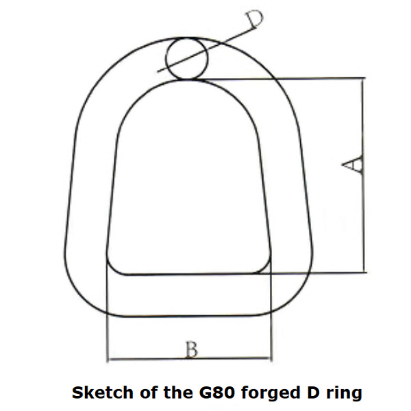 2.5T - 8T G80 Forged D Ring Color Painted Alloy Steel For Lifting Accessories