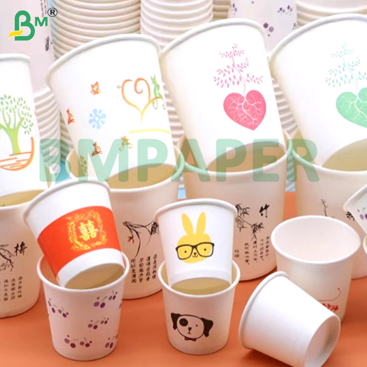 PE Coated Non Toxic Eco-Friendly  Good Malleability Waterproof Cup Paper Sheets For Cup