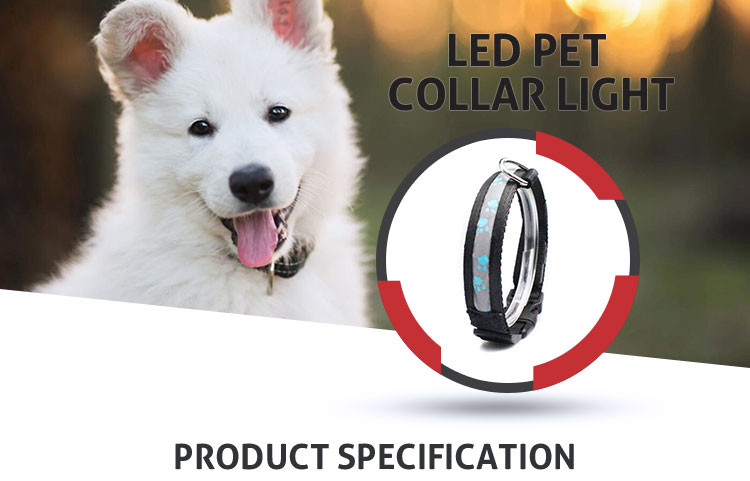Luminious Nylon Flashing Waterproof Lighted Dog Collar LED Dog Accessories